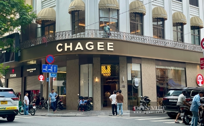 CHAGEE Việt Nam gửi lời chúc chào Xuân 2026 “Đào Khai Phúc – Trà Khai Xuân”