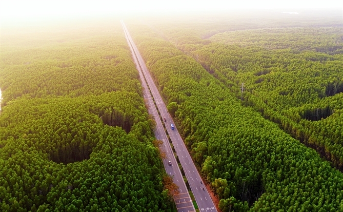 Vinhomes Green Paradise Cần Giờ thành đường đua cực đỉnh của 5.000 runner