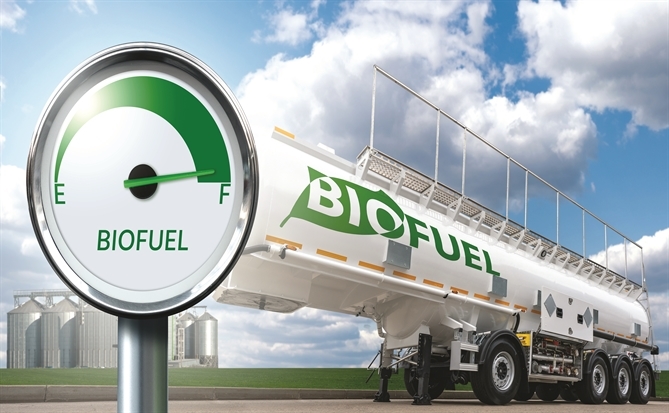 E10 hóa giải cú sốc năng lượng