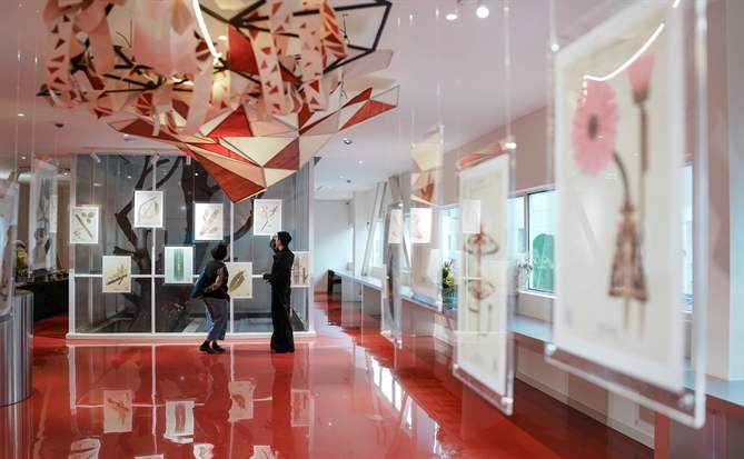 Triển lãm “Trùng - The Geometry of Insects”