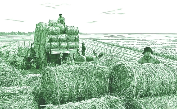 Cọng rơm kích hoạt điểm nóng carbon