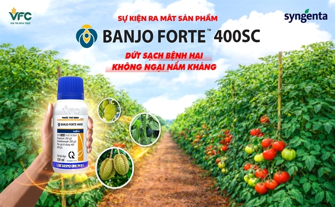 VFC ra mắt sản phẩm mới Banjo Forte 400SC: Giải pháp “Dứt sạch bệnh hại, không ngại nấm kháng”