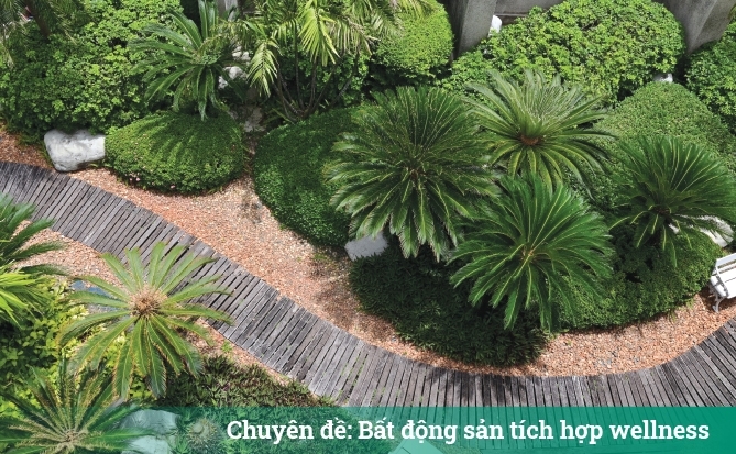 Kỳ 1 - Chăm sóc sức khỏe toàn diện: Thay đổi định nghĩa về “chuẩn sống tốt”