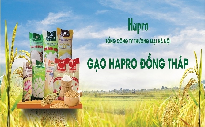 Hapro Đồng Tháp: Hành trình đưa hạt ngọc Việt vươn tầm