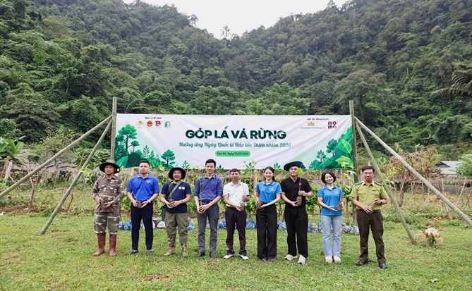 Thêm 72 ha rừng được hồi sinh từ chương trình 