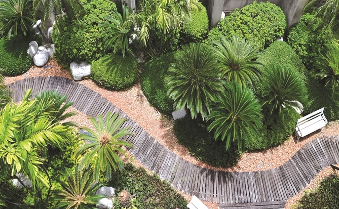 Hoa ở công trường