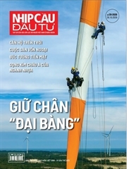 Cuộc săn vốn ngoại